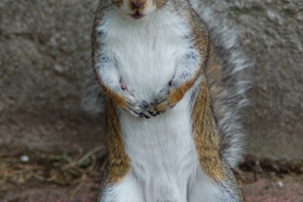 Как зарегаться в кракен